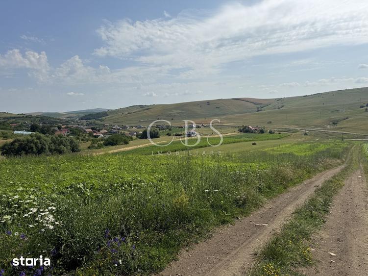 Teren de 5800 mp, în Dezmir