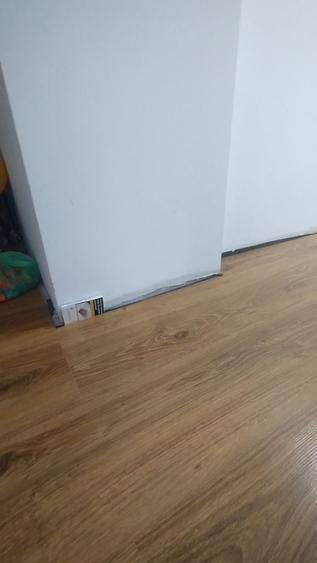 Casa cu teren mare Coiciu - 22