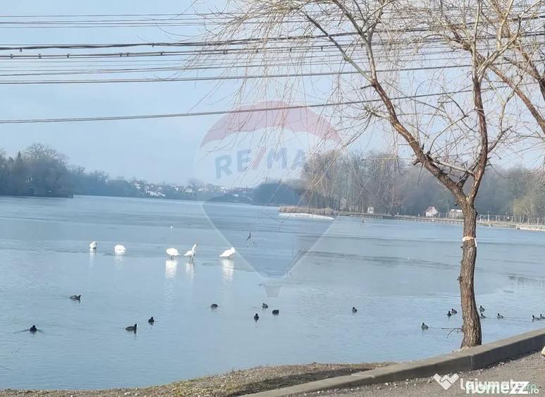 Vanzare Teren 625mp Mogosoaia / Strada Livezilor - 4