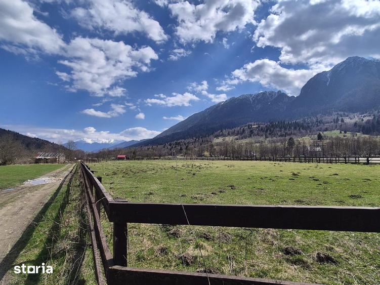 Teren intravilan cu vedere la munte, 1200 mp, acces usor, Plaiul Foii - 6