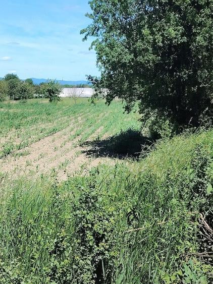 Teren de 3400 mp, în Jupa