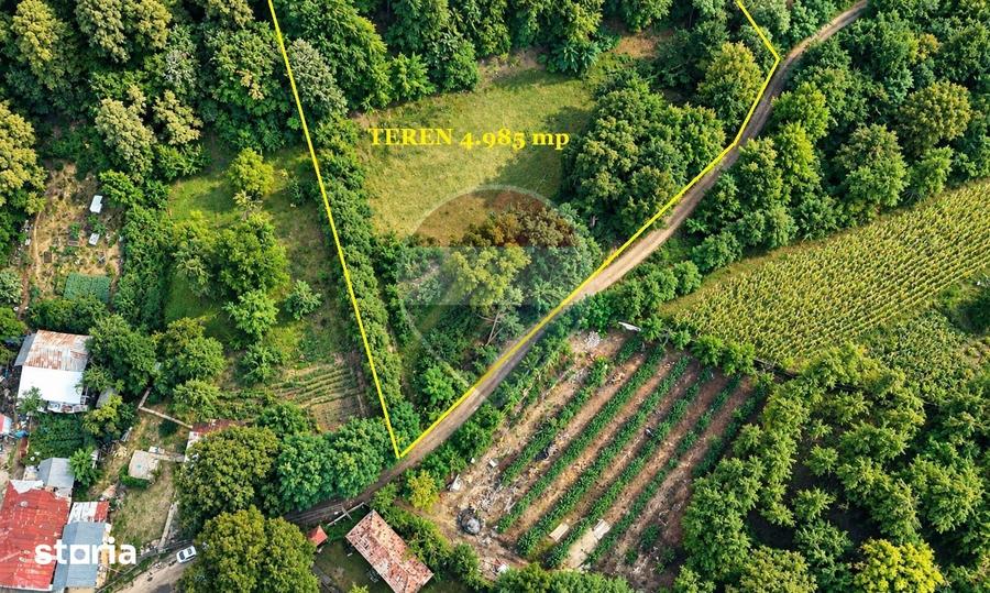Teren de 4985 mp, în Sascut