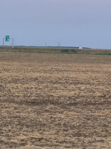 Teren agricol intravilan de 4000 mp, în Dimieni