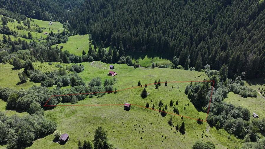 Teren extravilan 11.752 mp Zona Deia Priveliste superba Campulung Moldovenesc - 2