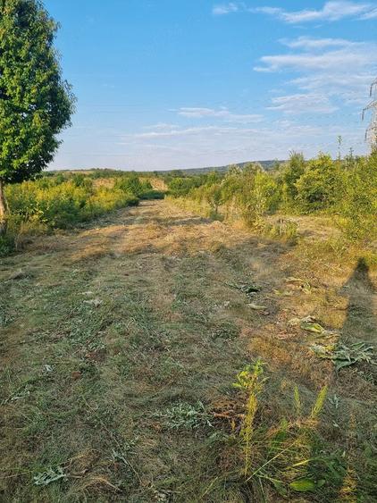Teren de 4000 mp, în Curături