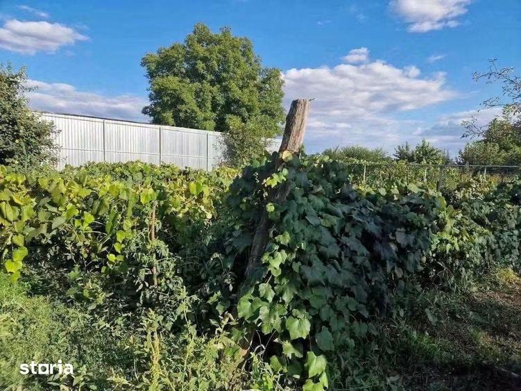 Casă cu 3 camere cu Teren 1200 Mp în Central