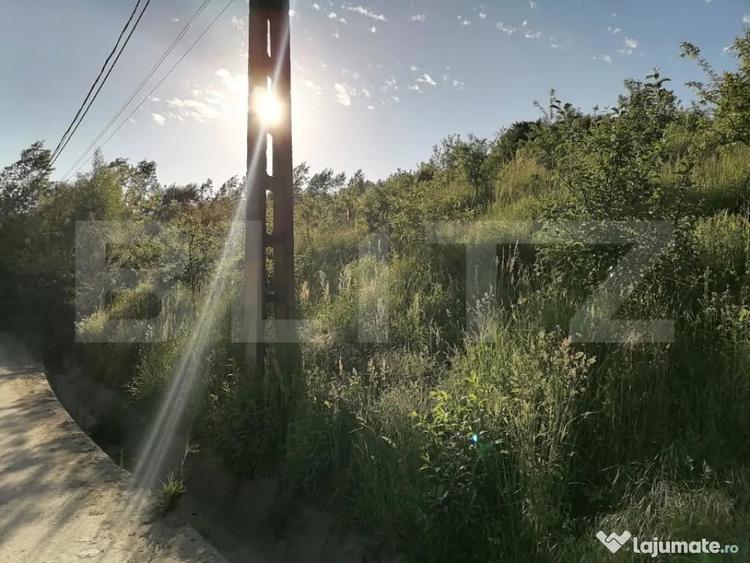 Teren de 14400 mp, în Gemenea-Brătulești