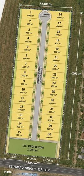 Teren Vama Veche 1,9ha (19.000m2) de la proprietar, strada asfaltata - 2