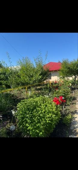 Casă cu 3 camere în Central