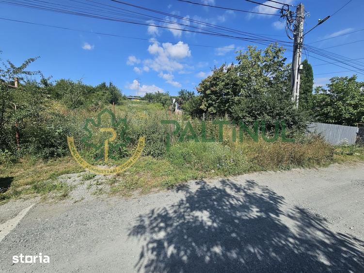 Teren de 2134 mp, în Câineni