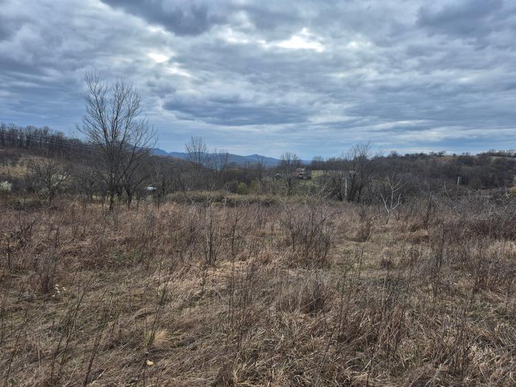 Teren agricol extravilan de 11400 mp, în Iabalcea