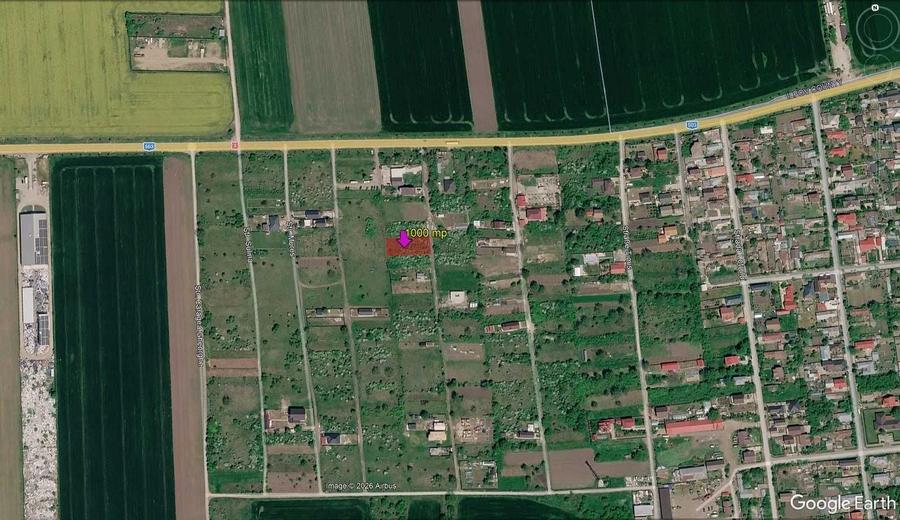 Direct proprietar 1000 mp com Branesti, sat Islaz - 5