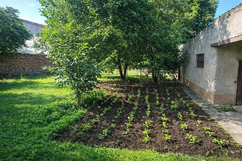 Casă cu 2 camere cu Canalizare în Exterior Est