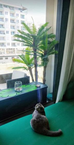 Apartament cu 2 camere semidecomandat în Mamaia