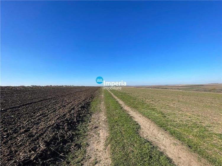 Teren agricol extravilan de 30000 mp, în Horlești (Rediu)