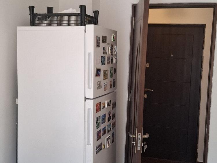 Apartament 2 camere, 56 mp, etaj 6/8, bloc reabilitat, Teiul Doamnei - 10