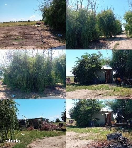 Teren extravilan Adunatii Copaceni, ID: R3345028 - 2
