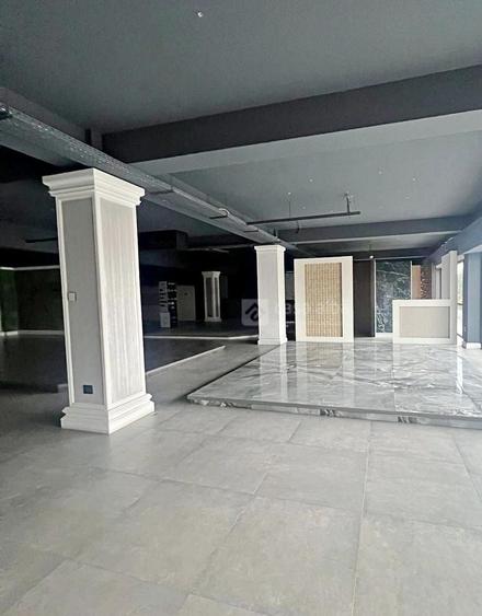 Tatarasi - Doi Baieti, spatiu 480mp de inchiriat, ideal showroom - 3