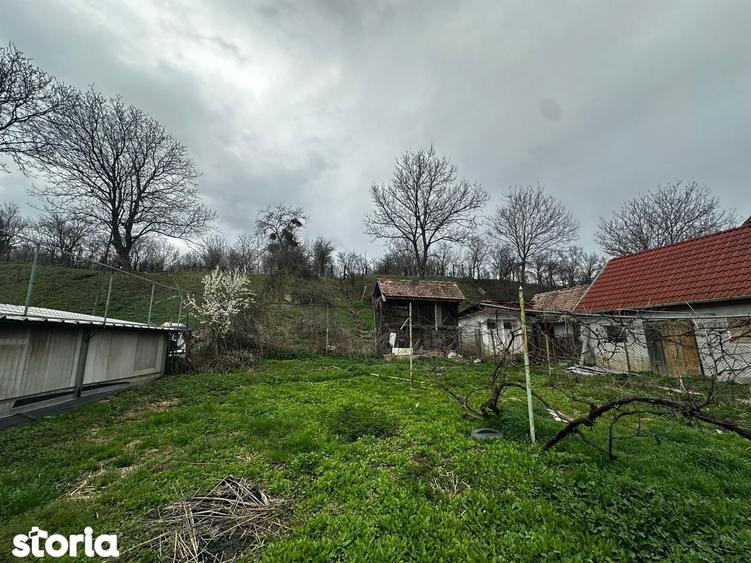 Casă cu 4 camere cu Teren 1900 Mp în Șura Mare