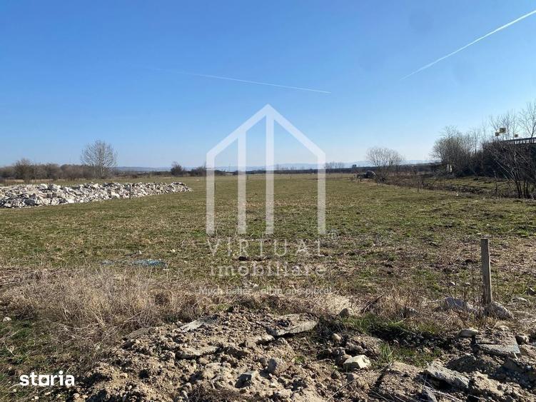 Teren de 16310 mp, în Șura Mică