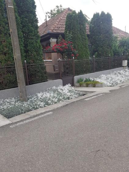 Casă cu 3 camere în Sânpaul