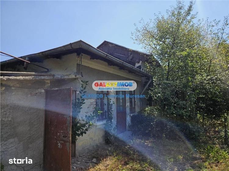 Vanzare casa batraneasca S + P teren Valea Voievozilor - 12