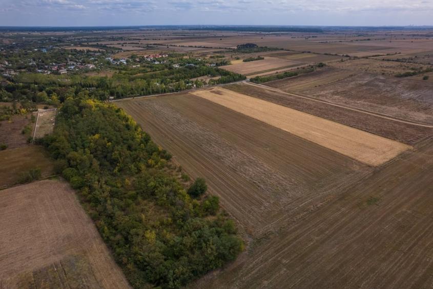 Teren Construcții intravilan de 15279 mp, în Periș