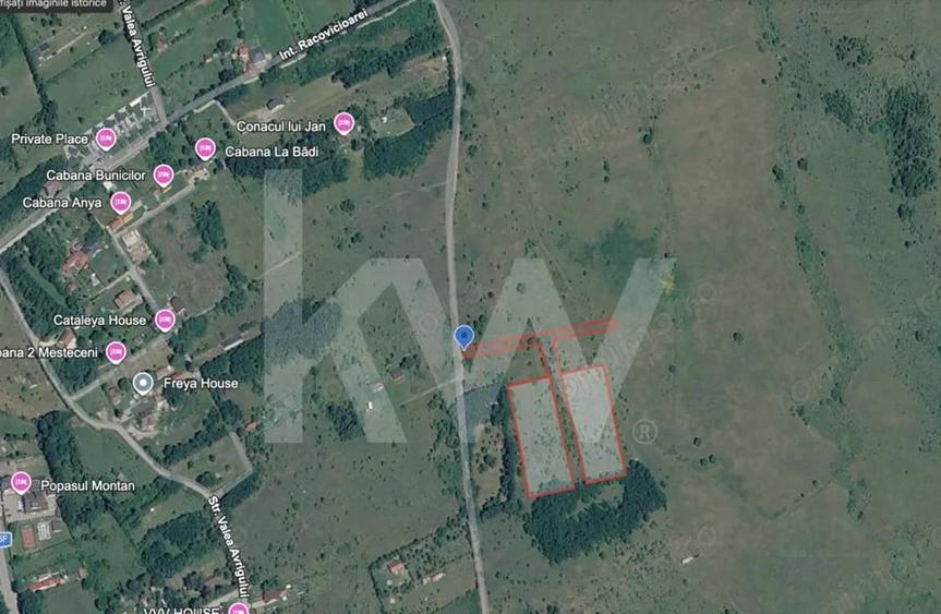 Teren extravilan de vanzare - Valea Avrigului, Sibiu - 5