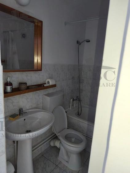 Apartament 1 camera decomandat prima inchiriere in zona Parcului Armatura - 9