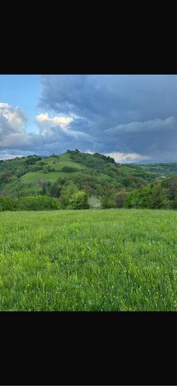 Casă cu 3 camere în Poiana Mărului