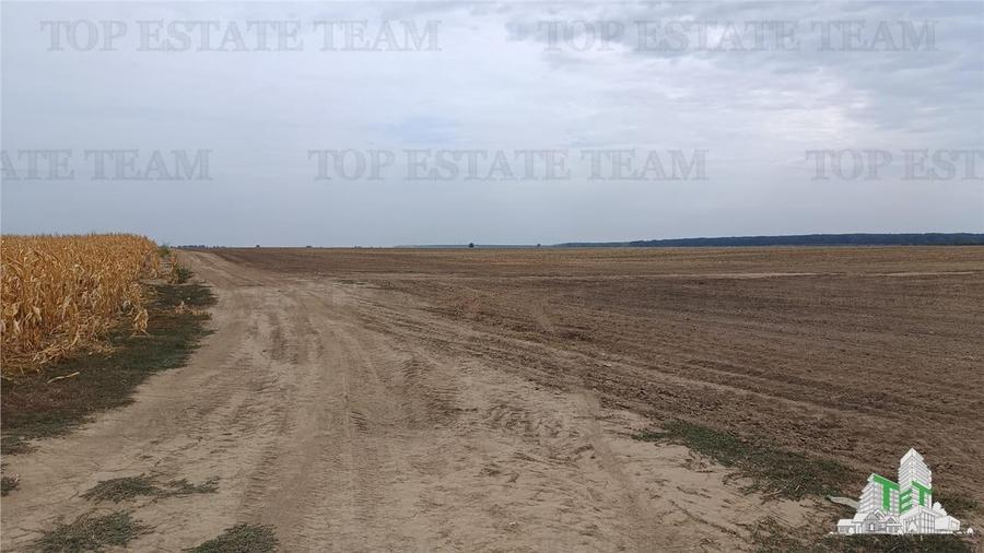 Teren agricol extravilan de 81906 mp, în Petrăchioaia