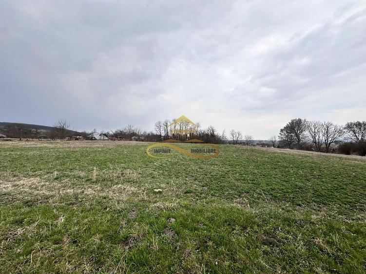 Teren Construcții intravilan de 11021 mp, în Blăgești