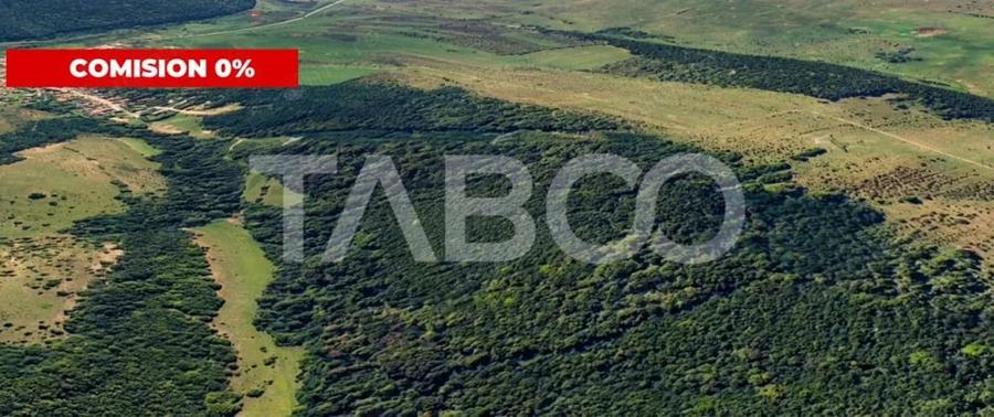 Teren de 127000 mp, în Mag