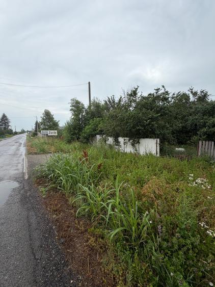 Teren intravilan de 859 mp, în Buturugeni