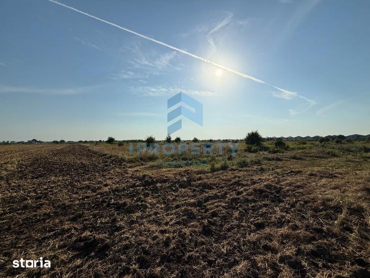 Teren 15867 Mp In Otopeni Parcelat cu Deschidere Dubla Stradala - 2