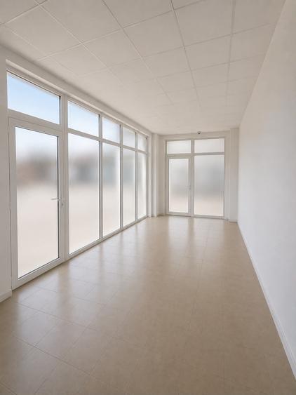 Spațiu comercial, de 434 mp, în Decebal