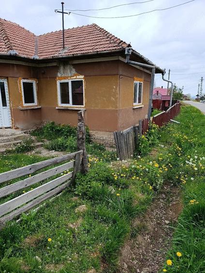 Casă cu 3 camere cu Teren 500 Mp în Dângău Mare