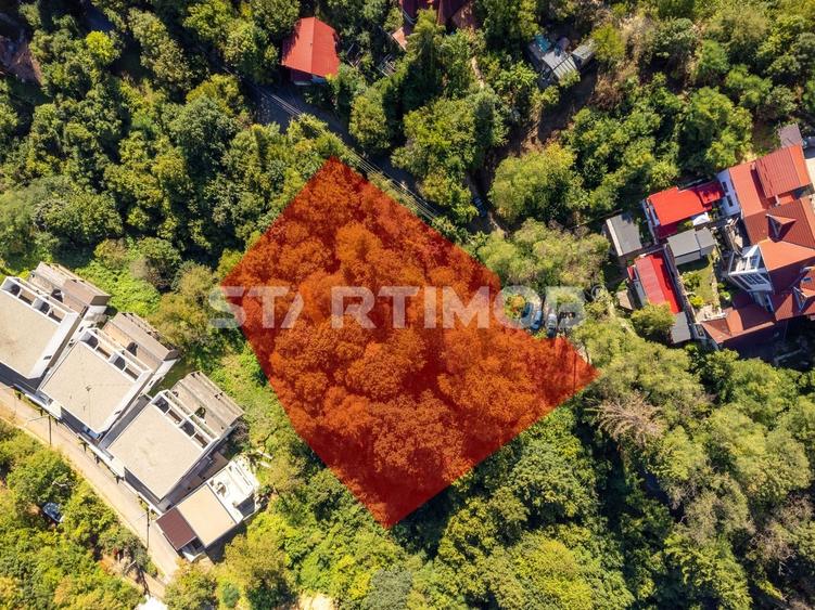 Teren Construcții intravilan de 2385 mp, în Schei