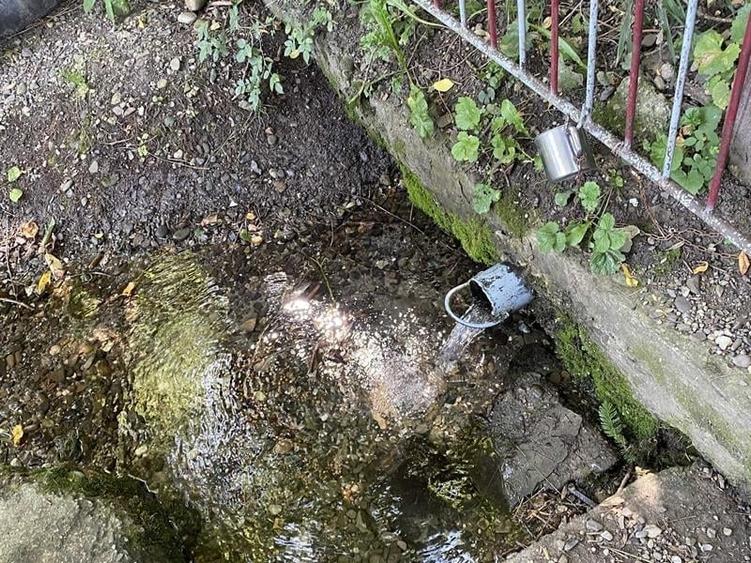 Casă individuală cu 4 camere cu Teren 3500 Mp în Fântâna Mare
