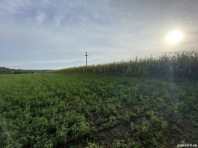Teren de 2000 mp, în Pătrăuți