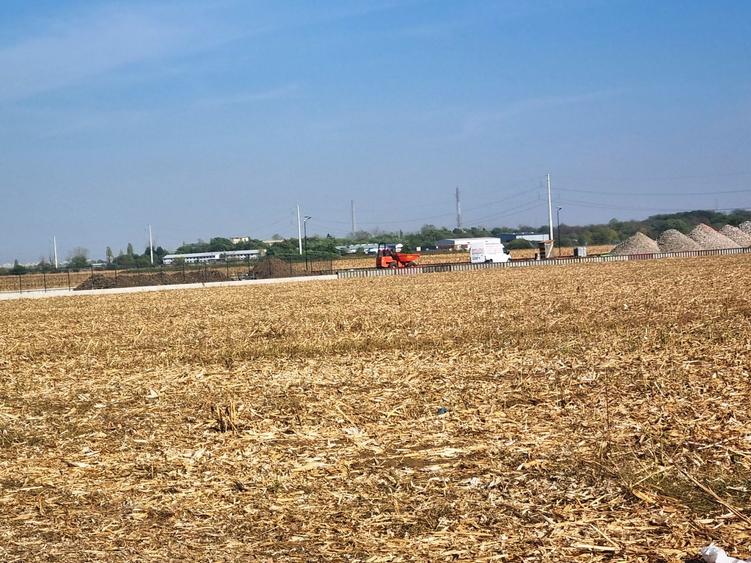 Vanzare Teren  industrial \5000mpMagurele Varteju - 7