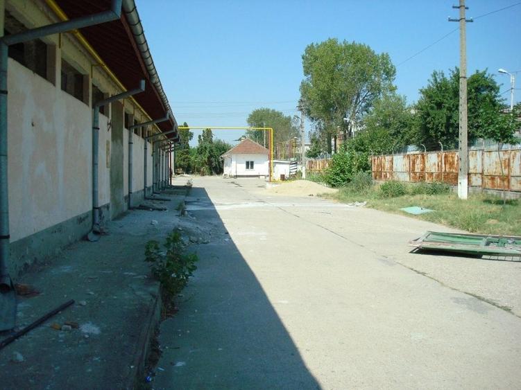 Teren Construcții intravilan de 39000 mp, în Giurgiului