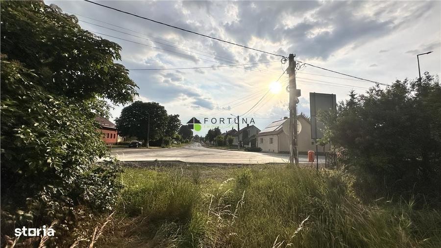 Teren -5 loturi intravilan cu utilitati pe teren Harman -589 - 3