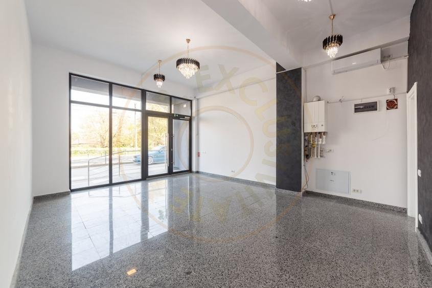 Spațiu comercial, de 34.200000762939 mp, în Frații Golești