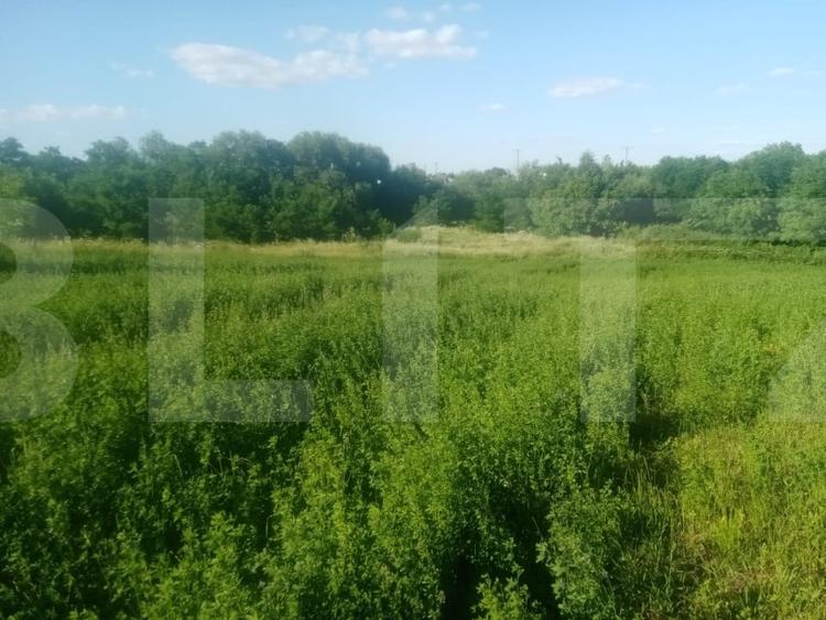 Teren agricol intravilan de 3700 mp, în Brăești
