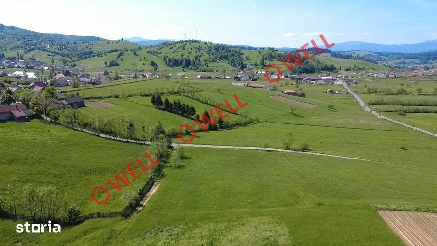 Teren de 3267 mp, în Barcani
