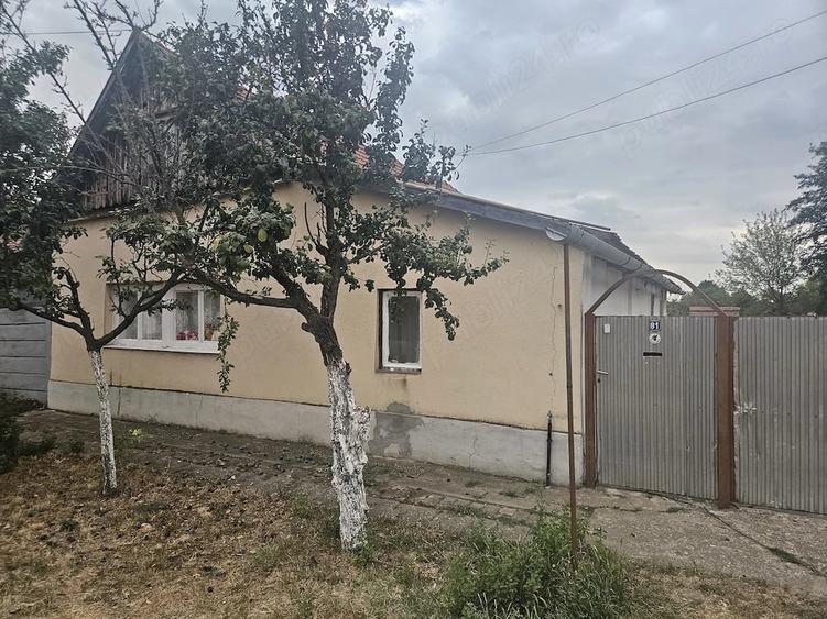 Casă cu 2 camere cu Teren 1790 Mp în Central