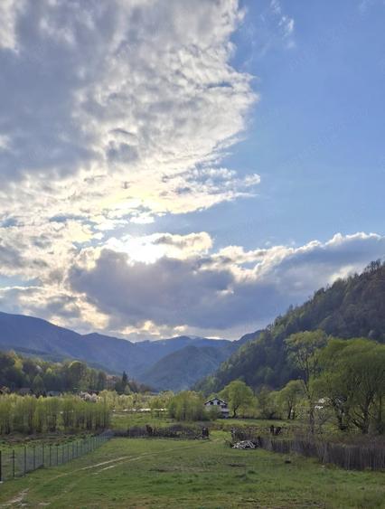 Teren de 1000 mp, în Malaia