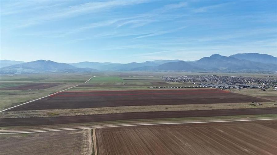 Teren agricol extravilan de 92700 mp, în Tărlungeni