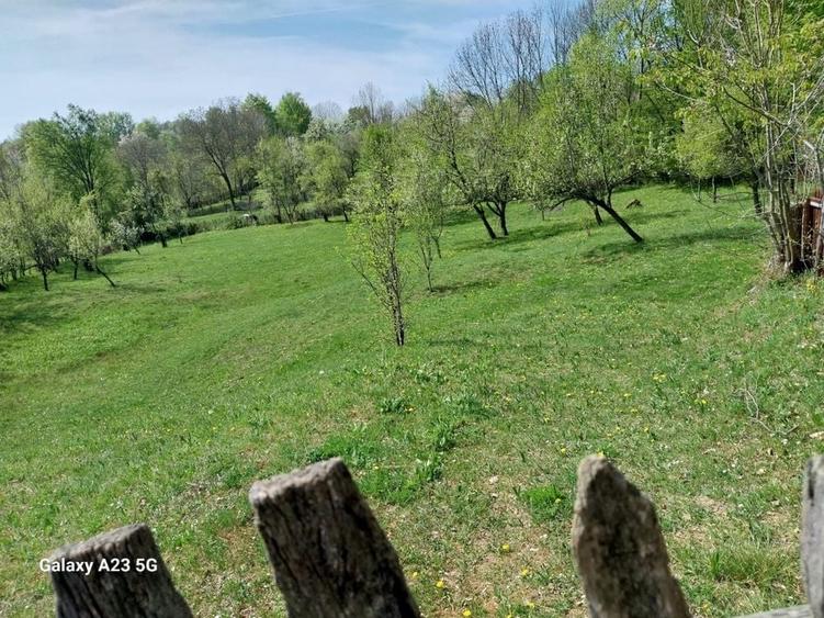 Teren de 3300 mp, în Talea